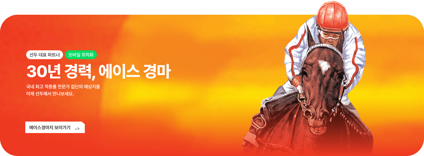 30년 경력, 에이스 경마