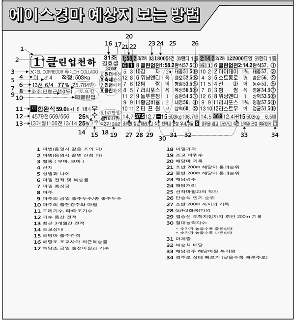 에이스경마 예상지 보는 방법